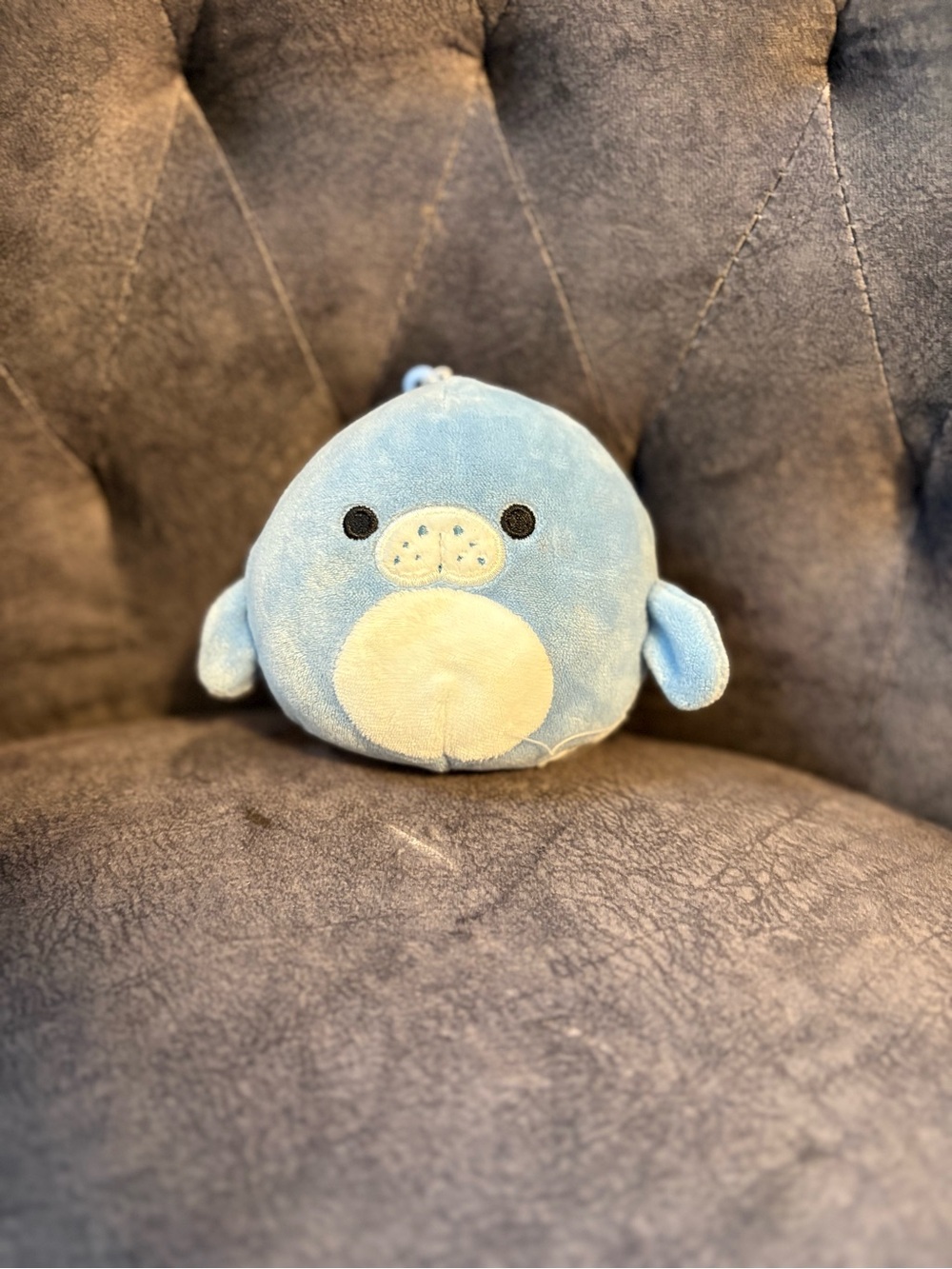 Maeve the Seal Squishmallows Blue Keychain “4